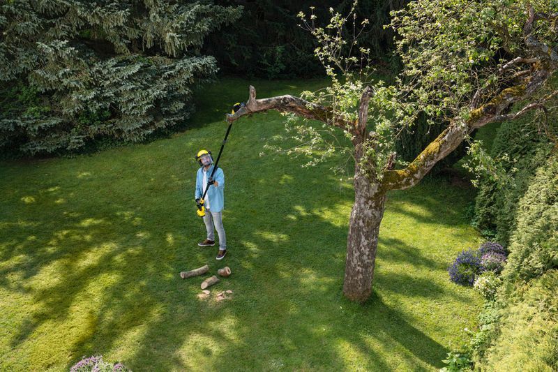 Висоторіз ланцюговий акумуляторний Karcher PSW 18-20 Battery 18В шина 20см 3.8кг без АКБ та ЗП 1.444-010.0 фото