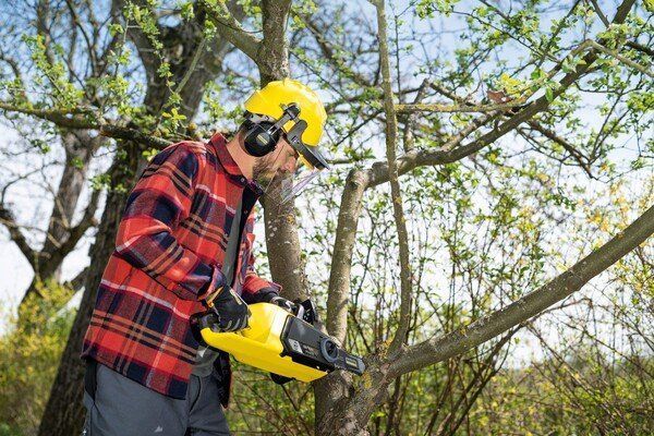 Пила цепная аккумуляторная Karcher CNS 18-30 Battery 18В акб 2х5А&middot;час шина 30см быстрозарядное ЗУ 3.2кг 9.611-915.0 фото
