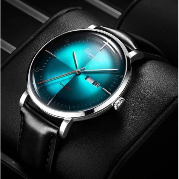 Часы Carnival Platinum Limited Edition 8755 фото