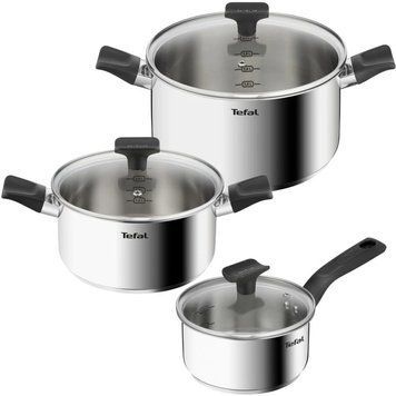 Набор посуды Tefal DELICIOus, 6 предметов, нержавеющая сталь, бакелит, стекло B925S655 фото