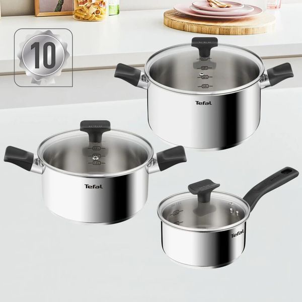 Набір посуду Tefal DELICIOus, 6 предметів, нержавіюча сталь, бакеліт, скло B925S655 фото