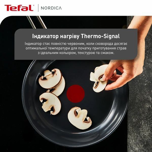 Сковорода Tefal Nordica, 20см, нержавеющая сталь. H8710255 фото