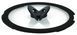Кришка скляна Tefal Ingenio 26 см , скло, силікон L9846653 фото 1