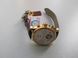 Годинник Carnival Swiss Brown 8702 фото 16