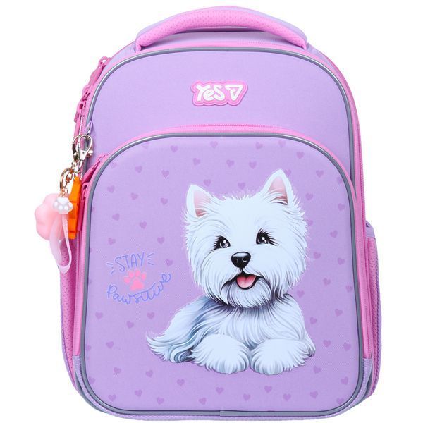 Рюкзак шкільний каркасний Yes Stay Pawesome S-78M 550226 фото