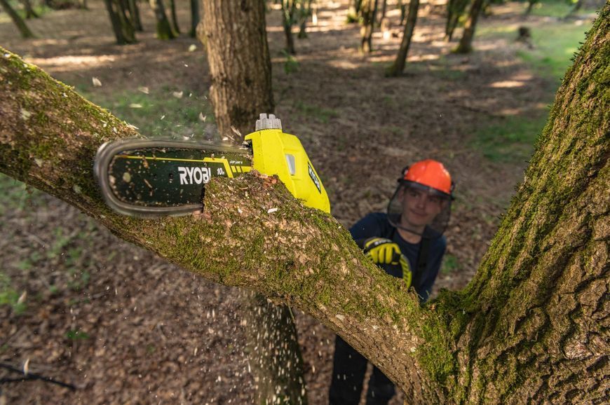 Высоторез цепной аккумуляторный Ryobi Max Power RY36PP25A-0 36В 25см 3м 4.3кг без АКБ и ЗП 5133005786 фото