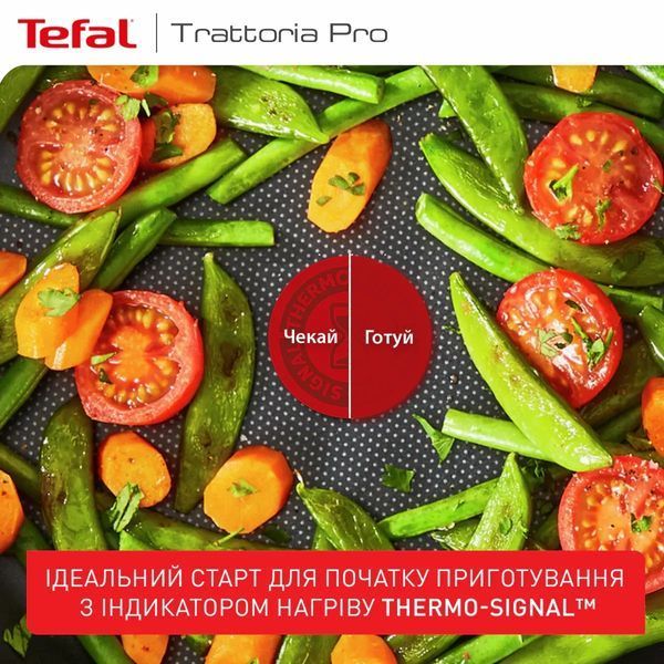 Сковорода Tefal Trattoria Pro, 24см, алюміній, бакеліт, чорний G6120444 фото
