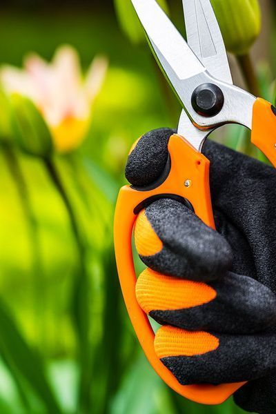 Ножницы садовые Neo Tools, 18.5мм, 115г 15-215 фото