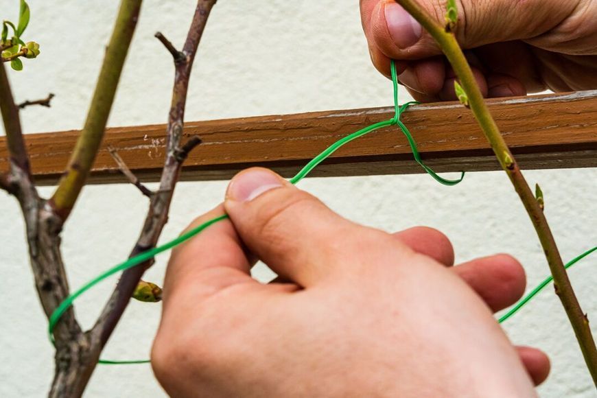 Проволока садовая Verto, ПВХ-оболочка, с обрезчиком, 0.15смх50м, зеленая 15G530 фото