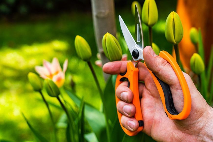Ножницы садовые Neo Tools, 18.5мм, 115г 15-215 фото
