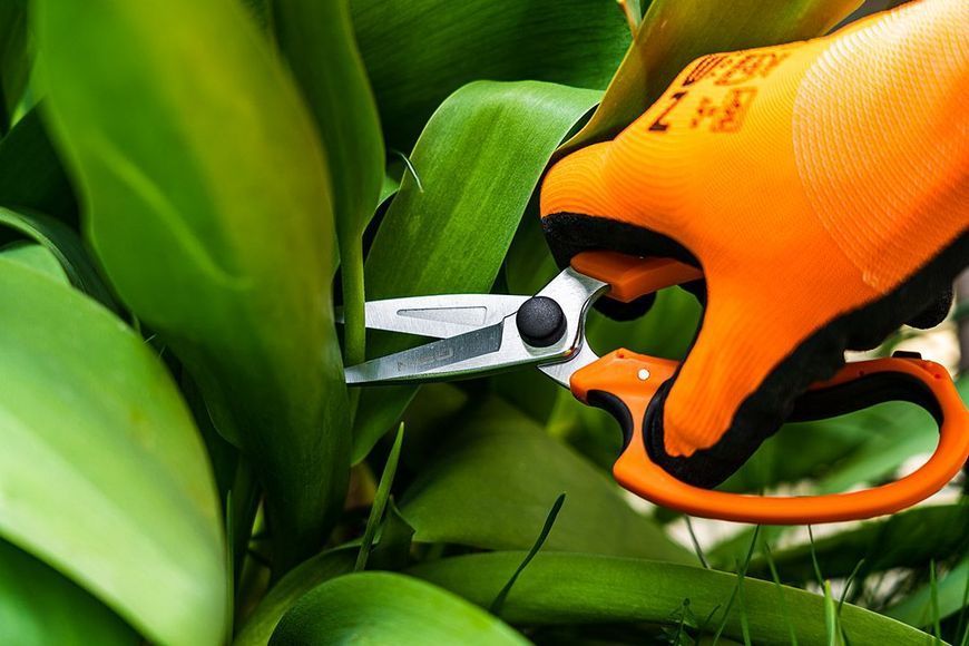 Ножницы садовые Neo Tools, 18.5мм, 115г 15-215 фото