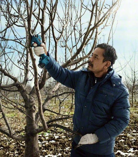 Секатор Bosch Pro Pruner SOLO аккумуляторный, 12В, 3.0 Ач, до 25мм, 1кг 0.601.9K1.020 фото