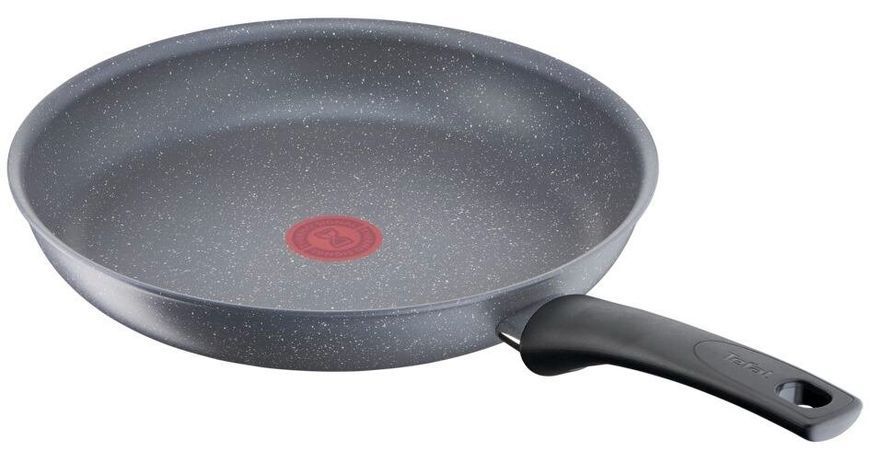 Сковорода Tefal Healthy Chef, 26см, алюміній, бакеліт, сірий G1500572 фото