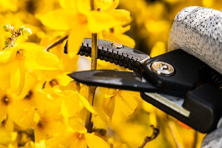 Секатор контактний Neo Tools, d різу 15мм, 185мм, 169г 15-201 фото