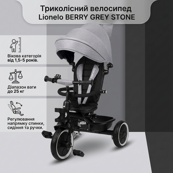 Детский трехколесный велосипед Lionelo BERRY GREY STONE 82370395 фото
