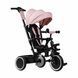 Дитячий триколісний велосипед Lionelo BERRY PINK ROSE 82370451 фото 1