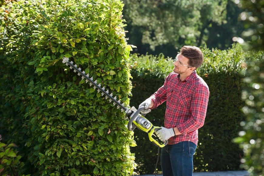 Кущоріз мережевий Ryobi RHT8165RL 800Вт 65см крок різу 34мм 4кг 5133003649 фото