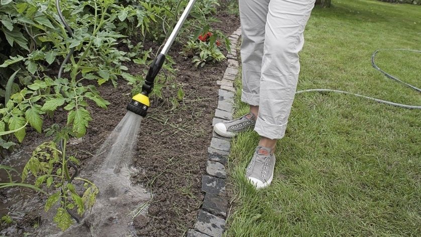 Ороситель ручной Karcher "Plus", Штанга для полива, душ садовый, 6 режимов, поворотное основание 2.645-158.0 фото