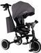 Детский трехколесный велосипед Lionelo TRIS PLUS GREY STONE 82405750 фото 2