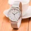 Часы Geneva Steel Silver