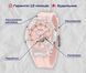 Годинник Smael&nbsp;Princess 1625 фото 8